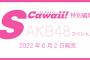 【特典あり】SCawaii!特別編集 AKB48スペシャルが発売！AKB48の26名が登場し誌面をジャック！