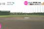 沖縄って本当にプロ野球のキャンプ地に向いてるん？