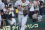 【悲報】糸原健斗さん.286 OPS.752打ったのに今年は代打確定へｗｗｗｗｗｗｗｗｗｗｗｗ