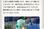 【ポケモンSV】なあもしかしてハラバリーの顔って正面のメタモンみたいなあれ？