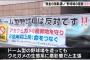 静岡の新球団、ウミガメ保護の観点から大反対される