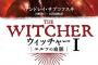 ウィッチャー小説版って日本だとどれくらいのレベル？