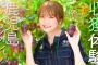 パッションフルーツの焼酎割り⁉秋元真夏が鹿児島県でパッションフルーツを収穫！