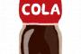 日本でコカ・コーラより売れている炭酸飲料が存在することが判明  [837857943]