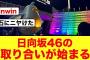 【9月11日の人気記事10選】 日向坂46×宮崎県ひなたフェス2024の経済効果が… ほか【乃木坂・櫻坂・日向坂】