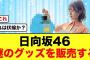 【日向坂46】全国ツアーで謎のグッズが販売されおひさま困惑する