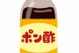 【画像】嫁「ちょっとポン酢買ってきて」ワイ「はいよー買ってきたで」嫁「ぎゃあああああああああ」