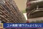 政府の備蓄米放出に生産地から怒りの声「今が適正価格。これまでが安かった。値下げは止めろ