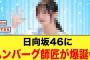日向坂46に可愛すぎるハンバーグ師匠が見つかるw【日向坂46】