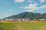 田舎は住みづらいよ？今でも「結婚いつすんの？」「子供は？」とか言われるし