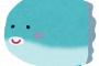 マンボウの持ち方スレ