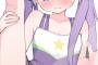【画像】女の子「こんなポーズさせないでよ変態・・・///」