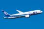 【悲報】墜落した787型機、248日を超えて通電し続けるとAC電源が落ちて制御不能になるバグがあった