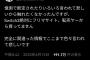 中川翔子「憶測で断定されたりいろいろいわれて悲しい」