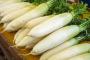 【速報】中国産の野菜、ガチで『恐ろしい事実』が判明してしまう・・・・・