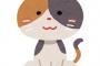 § 離婚して子連れで私宅に居候したがってるコトメ。うちには猫がいるんだけどコトメ子は猫アレルギーらしく「出来れば猫どっかやって欲しいんだけどダメかな？」