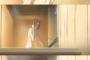 【画像】夕方アニメのエッチなシーンｗｗｗｗｗ
