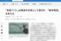【！？】毎日新聞「『魚雷バット』は報道の言葉として適切か『戦争用語』を考える」