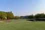 多分一生面白さわからんやろなってスポーツ