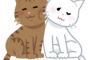 【胸糞】飼い猫が逃げても探さない祖母のことを母親が「昔の人だからペットを飼うって感覚がない」と怒っていたが、そんな母親も過去に猫に対して酷い仕打ちをしていたこと