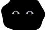 【今、深夜やが】家の周りで何者かが歩き回ってる→（たッ…たッ……たッ……）