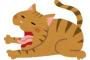 母が私と猫の名前を言い間違える。「A（私）〜、トイレしたならちゃんと言いなさい」「B（猫）、お風呂沸かしてきてくれる？」