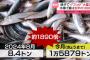 千葉県銚子市でイワシが大漁。去年の1800倍も獲れるので獲れるだけ獲ってカスみたいな値段で売るゾ