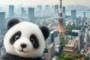 中国人「説明なしで、すぐに日本だとわかる写真を載せていこう」　中国人「やっぱりこれだね」「鉄の胃を持つ日本人」