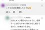 【悲報】大谷信者さん「大谷にホームラン王とらせないようシュワーバーにわざと打ちやすい球投げてる」