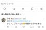 中川翔子「双子の呼び名募集します」