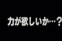 公園で子供に｢力が欲しいか？｣って囁くの楽しすぎわろたｗｗｗｗｗ