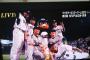 【悲報】平田、熱いヤクルト愛を隠しきれない