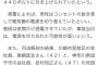 電気柵の電圧440ボルトの威力。