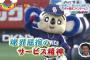 ZIPでプロ野球ありがた迷惑ファンサービス：ドアラ骨折・ぬいぐるみがファンに届かないペーニャ・いじられキャラのヤクルト三輪・脇谷のホームランボールが迷惑なDeNAファン