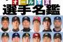 今こそ2013の野球を語ろう