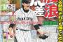 【阪神】今日のデイリー1面ｗｗｗｗｗｗｗｗｗｗｗｗｗｗｗ