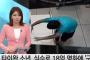 韓国人「台湾人は日本を真似た中国人」　台湾少年足踏をみ外して1億８０００万円の名画に穴を空ける