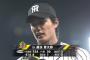 藤浪晋太郎（21）　防御率2.58　11勝6敗