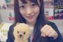 りぽぽが卒業したNMB48を何かに例えるスレ