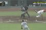 【朗報】また新井さんが笑わせる