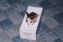 猫入りティッシュ。出しても猫。出しても猫。出しても…