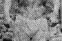 【画像】木村政彦の全盛期の肉体ｗｗｗｗｗｗｗｗｗｗｗｗｗ