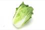 鍋野菜がお手頃価格に、ハクサイやネギなどが安値に