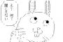 2ｃｈで煽られてイラッとした時ってお前らどうしてんの？