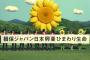 ベッキー､３社目ＣＭ契約打ち切り…ＣＭ動画全て消滅