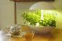 韓国人「部屋で簡単に野菜が育てられる日本のLED植物栽培器をご覧ください」→「日本はすごいですね・・・」「私も育てて食べてみたい」