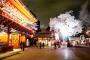 今まさに満開！痛絵馬も合わせて…秋葉原・神田明神で夜桜撮影してきた！