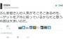 保育園デモ主催が『恥知らずな選民思想を剥き出しにして』炎上沙汰に。世論調査の結果はガン無視な模様