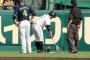 甲子園の落下物の正体が判明ｗｗｗｗｗｗｗｗｗｗｗｗｗ