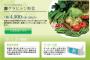 【速報】水素水に続け　「グラビトン野菜」爆誕　高波動（重力波）を袋とダンボールに導入　震えろ　